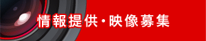 ���񋟁E�f����W