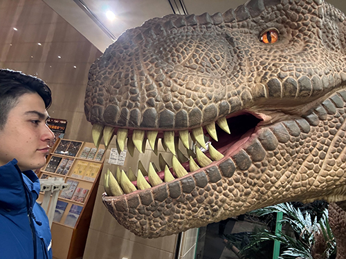 関連画像1