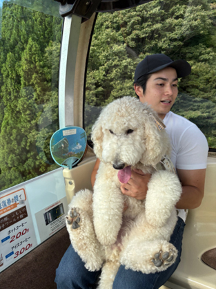 関連画像1
