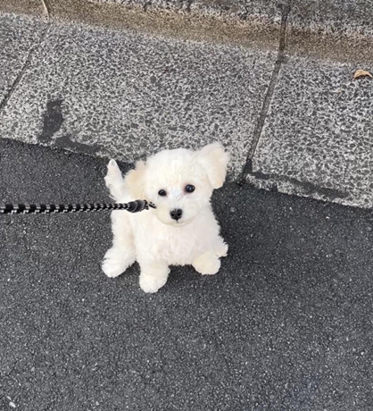 関連画像1
