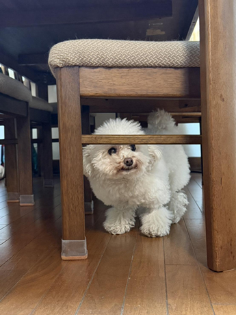 関連画像1