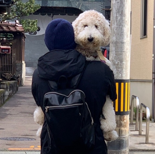 関連画像1