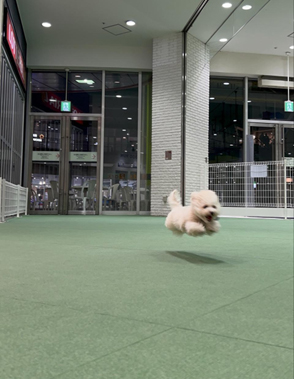 関連画像1