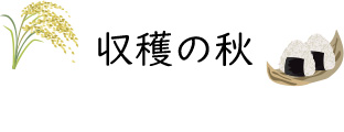 収穫の秋