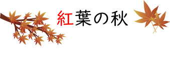 紅葉の秋