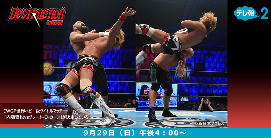 海外プロレスフィギュアセット×2 レア？かも