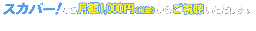 スカパーなら月額1,100円（税込）からご視聴いただけます！※月額基本料429円（税込）が別途必要になります。※2017年10月1日より加入料のご請求は無くなりました。