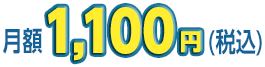 月額1,000円(税抜)