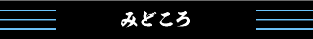 みどころ