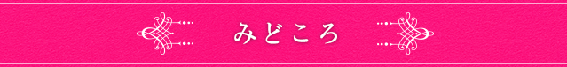 みどころ