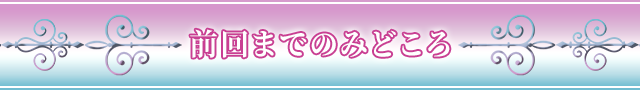 前回までのみどころ