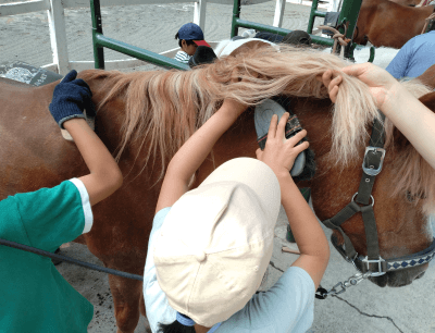 馬の手入れから外乗りまで、自信と達成感、責任感も育まれたようです。