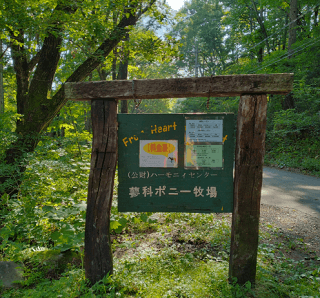 蓼科高原で「里子のためのポニーキャンプ」