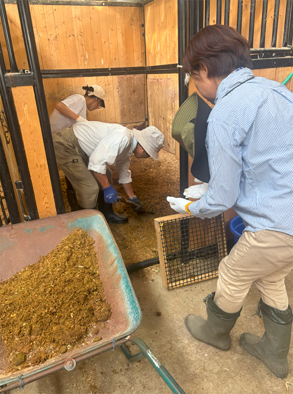 蓼科ポニー牧場には、約30頭のポニーがいます