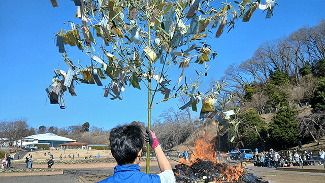 こどもの国で６０回目の「ジャンボカルタとり大会」「どんど焼き」