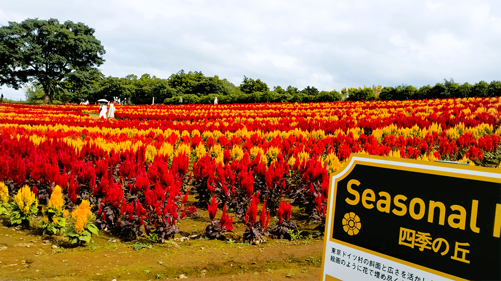 第31回千葉県母子生活支援施設部会交歓会