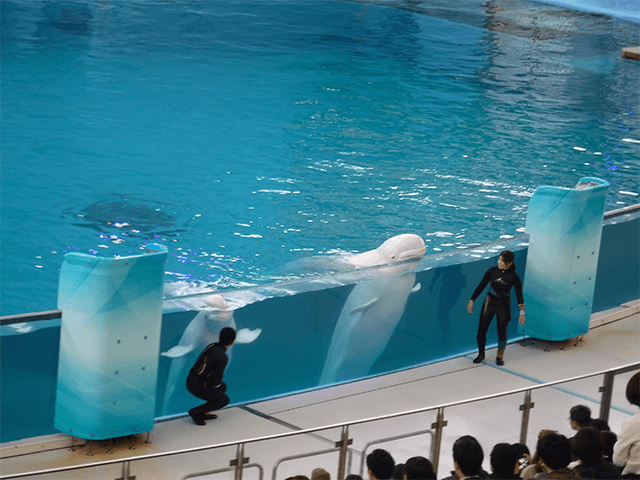 第32回 千葉県母子生活支援施設部会交歓会