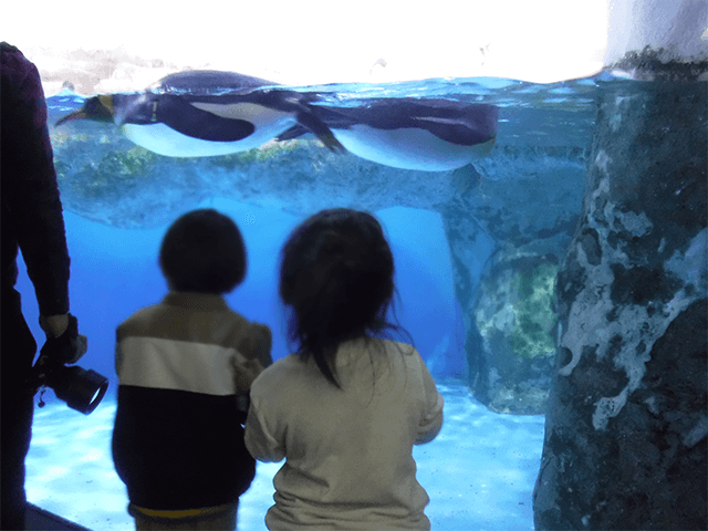 第32回 千葉県母子生活支援施設部会交歓会