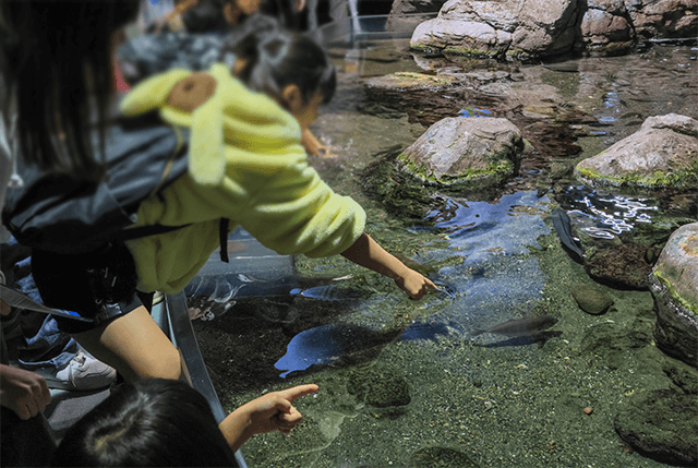 第32回 千葉県母子生活支援施設部会交歓会