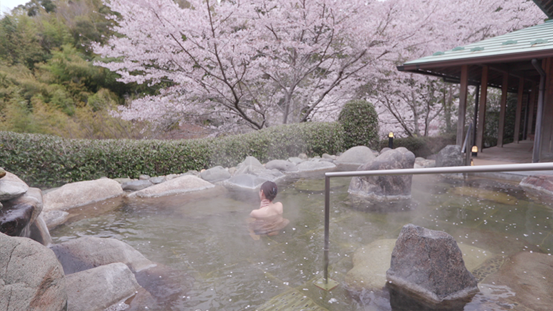 これまでの秘湯｜秘湯ロマン｜テレビ朝日