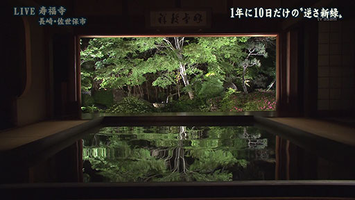 長崎・寿福寺“逆さ新緑”