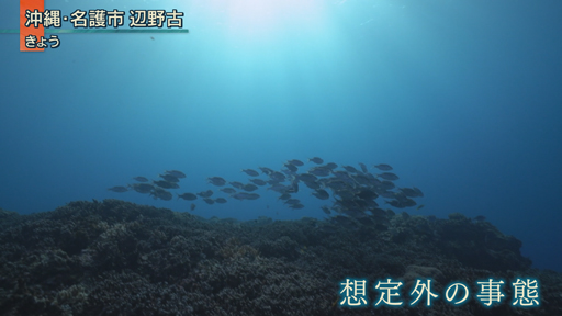 辺野古土砂投入へ…想定外の軟弱地盤とは