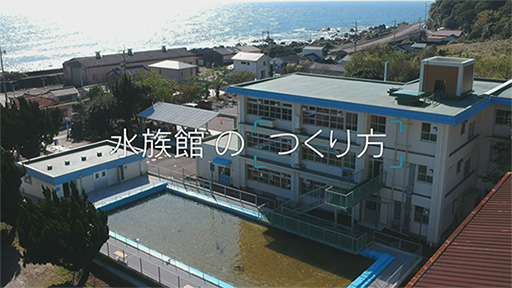 高知・廃校利用の水族館