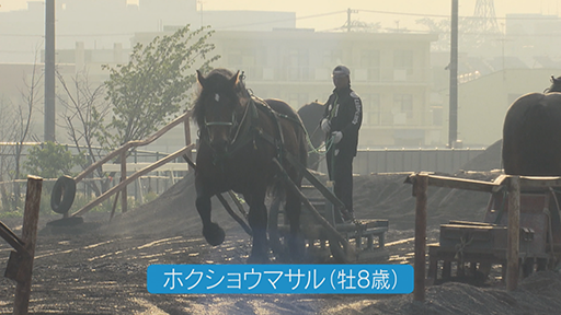 『ばんえい競馬』スターホースの物語