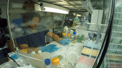 世界中で関心高まる“ゲノム編集”の現状