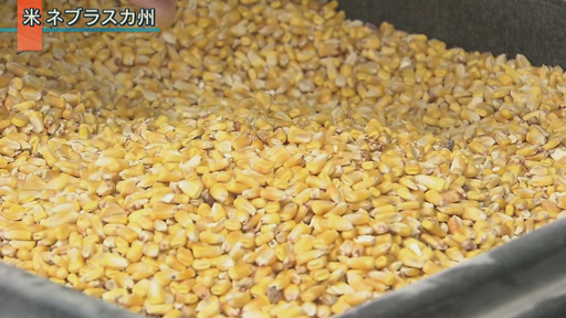 日米交渉で浮上“トウモロコシの謎”を追う