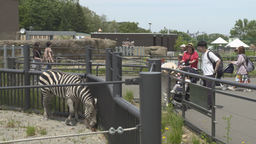変わってきた役割…大人の動物園