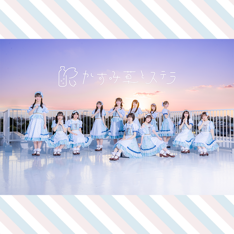 かすみ草とステラ