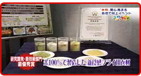 ��100���Ő��������V�H���t���C�p�ߍ�