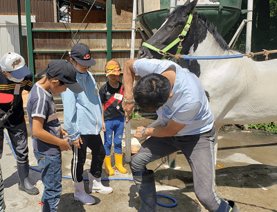 子どもたちは牧場スタッフが前足の爪を削る様子をじっと見つめていました。