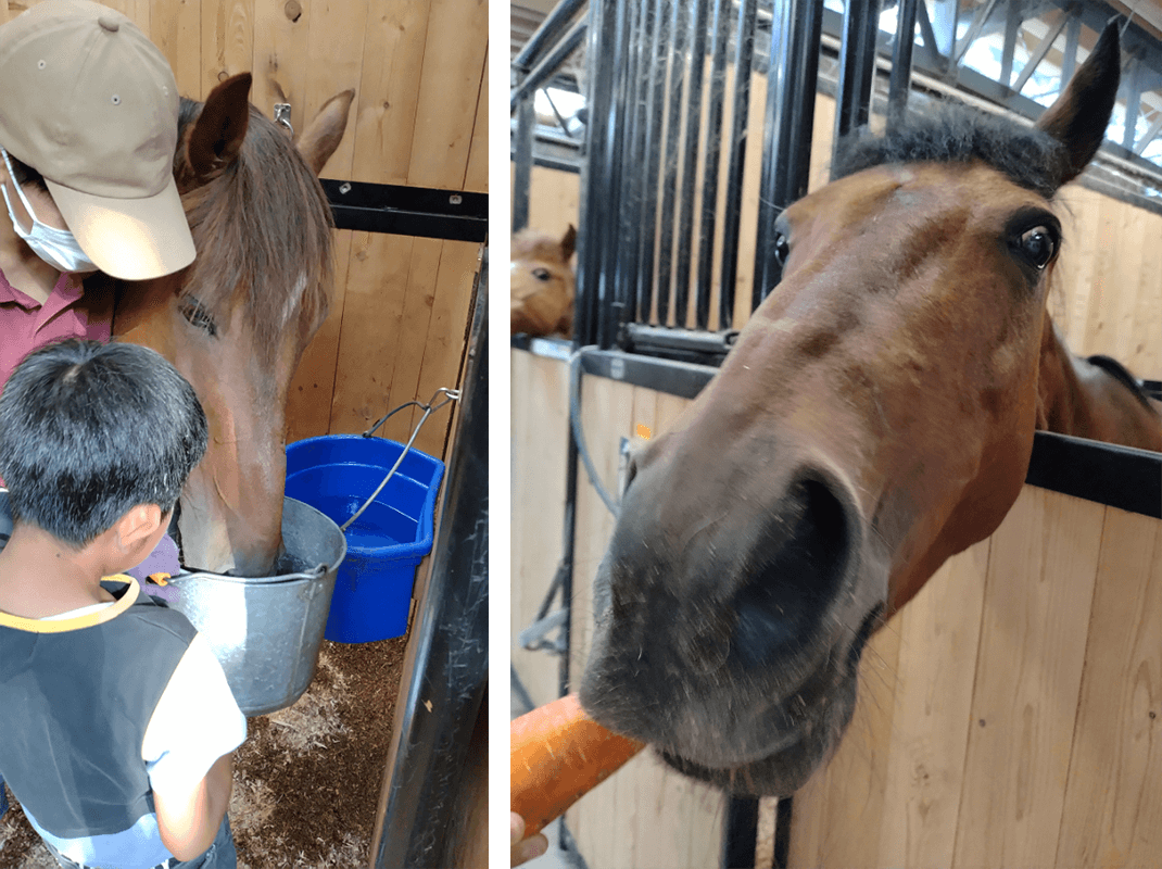 夕方は餌やりの時間です。