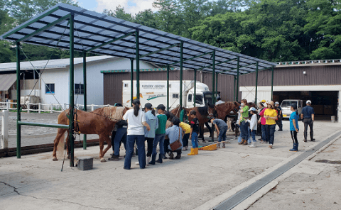 蓼科高原で「里子のためのポニーキャンプ」