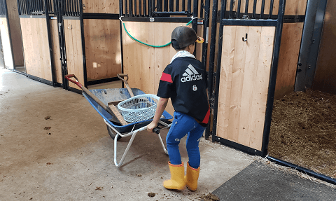 馬小屋の掃除