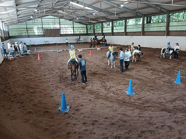 ポニーの動かし方を教わりました