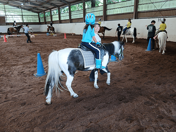 ポニーの動かし方を教わりました