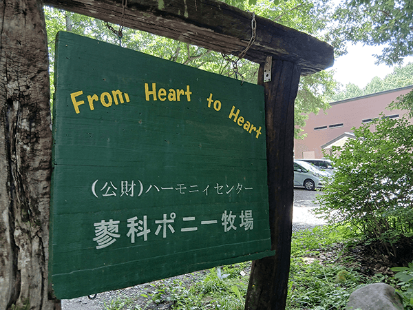 ポニーとの共同生活を楽しみました