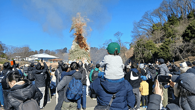こどもの国で60回目の「ジャンボカルタとり大会」「どんど焼き」