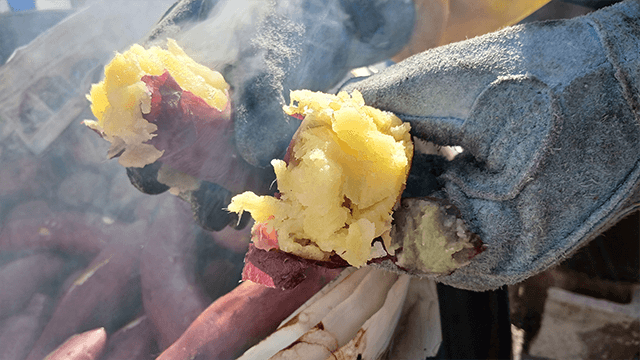 こどもの国で60回目の「ジャンボカルタとり大会」「どんど焼き」