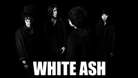 WHITE ASH