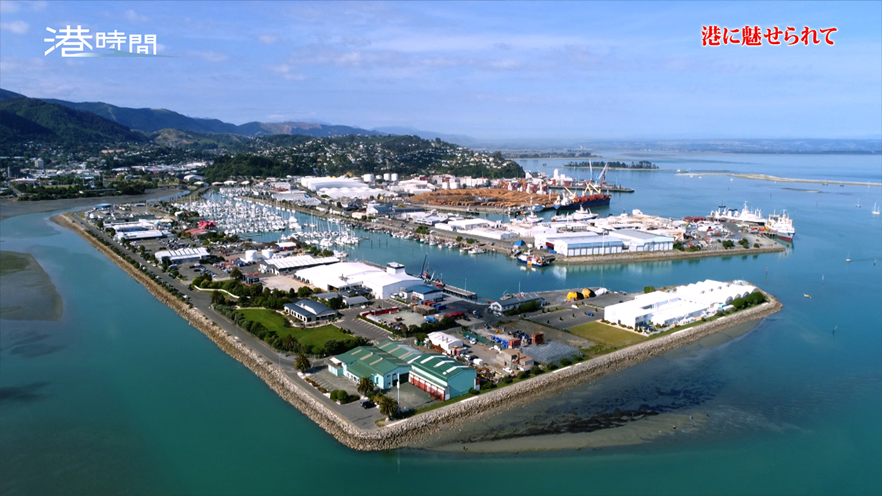 バックナンバー｜港時間｜テレビ朝日