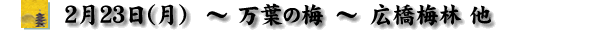 2009/2/23 t̔~-L~ё