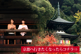 JR���C�c�A�[�Y