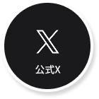 公式X