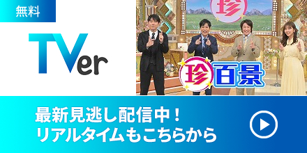 「ナニコレ珍百景」　登録記念クッション