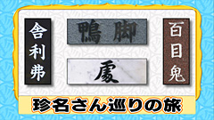テレビ朝日 ナニコレ珍百景 テレビ朝日 ナニコレ珍百景