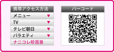 携帯アクセス方法